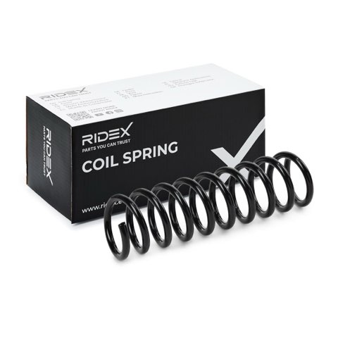 Ridex 188C1300 Coil Spring, photo 2