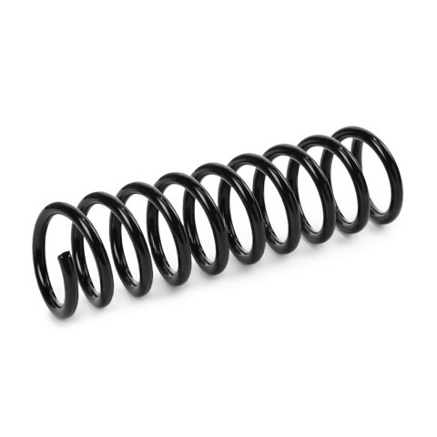 Ridex 188C1300 Coil Spring, photo 3