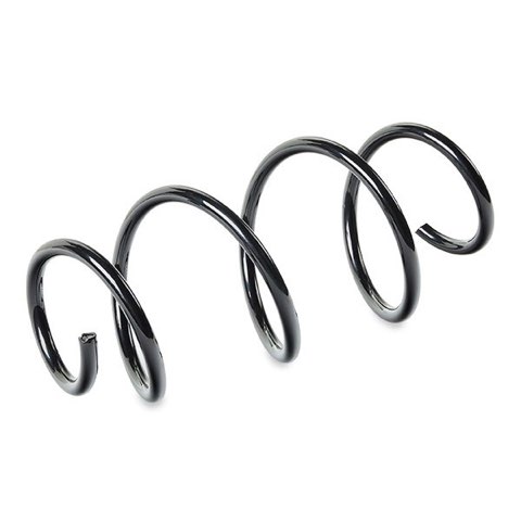 Ridex 188C1306 Coil Spring, photo 3