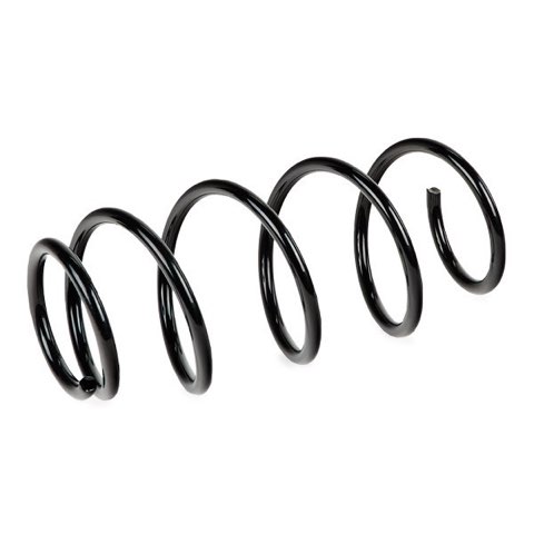 Ridex 188C1327 Coil Spring, photo 3