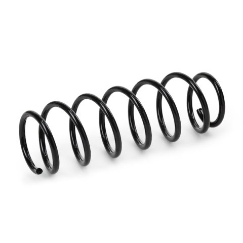 Ridex 188C1351 Coil Spring, photo 2