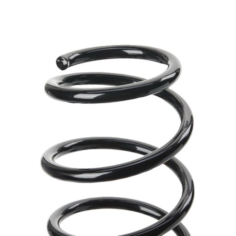 Ridex 188C1351 Coil Spring, photo 3