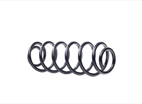 Ridex 188C1354 Coil Spring
