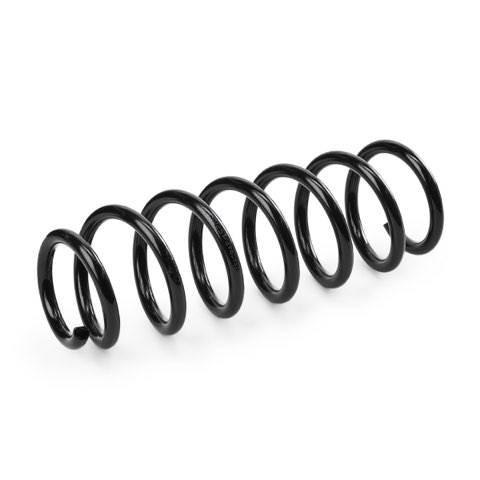 Ridex 188C1356 Coil Spring, photo 3