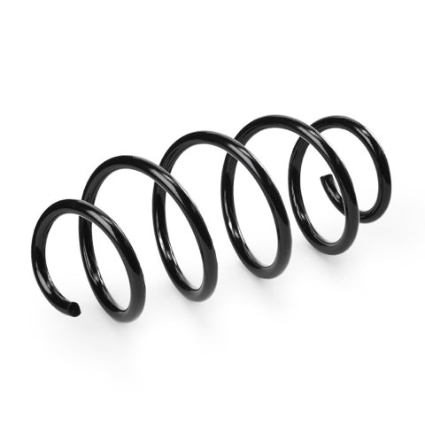 Ridex 188C1363 Coil Spring, photo 3