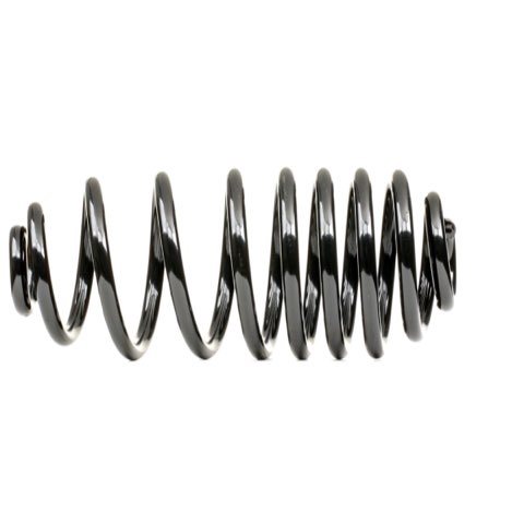 Ridex 188C1399 Coil Spring