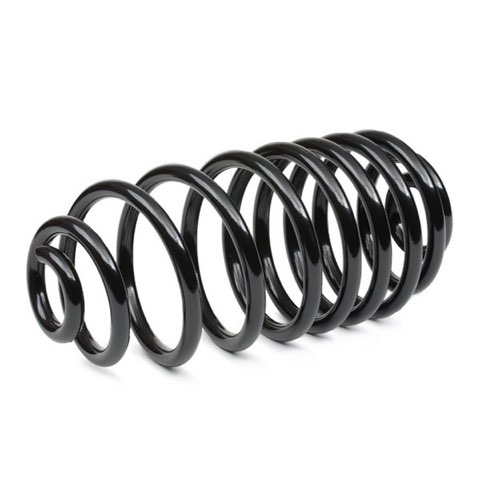 Ridex 188C1399 Coil Spring, photo 3