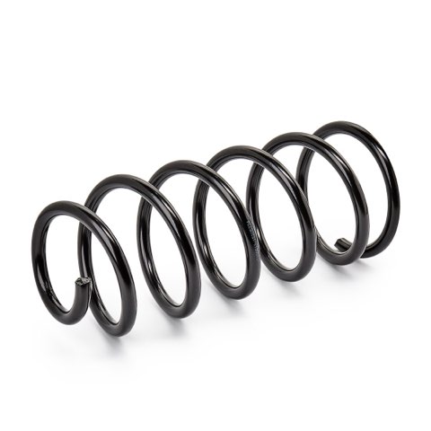 Ridex 188C1407 Coil Spring, photo 2