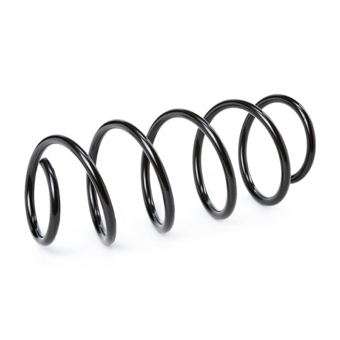 Ridex 188C1410 Coil Spring, photo 2