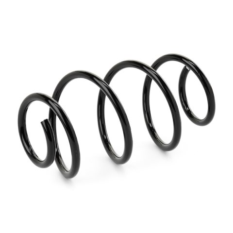 Ridex 188C1423 Coil Spring, photo 2