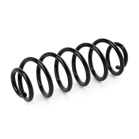 Ridex 188C1448 Coil Spring, photo 2