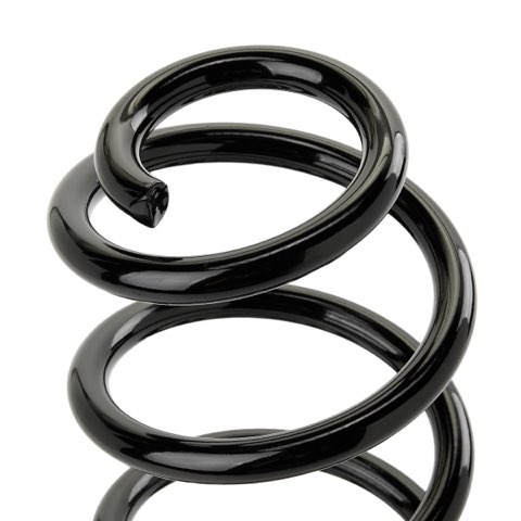Ridex 188C1448 Coil Spring, photo 3