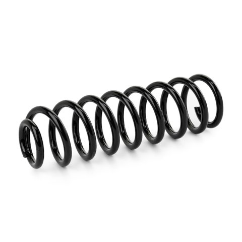 Ridex 188C1463 Coil Spring, photo 2
