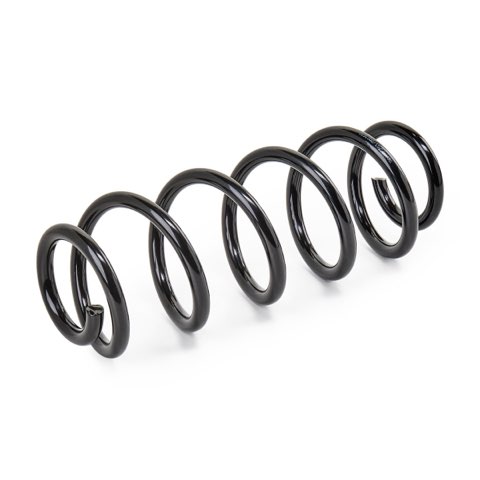 Ridex 188C1498 Coil Spring, photo 2