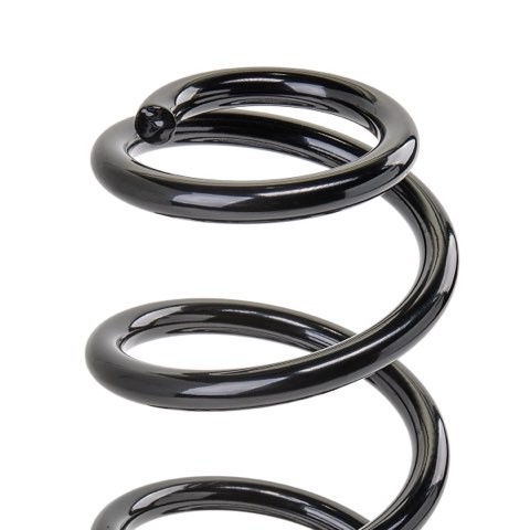 Ridex 188C1498 Coil Spring, photo 3