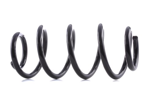 Ridex 188C1508 Coil Spring