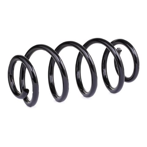 Ridex 188C1508 Coil Spring, photo 3