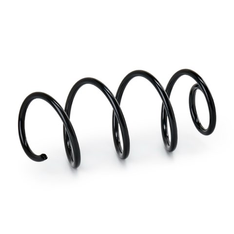 Ridex 188C1541 Coil Spring, photo 2