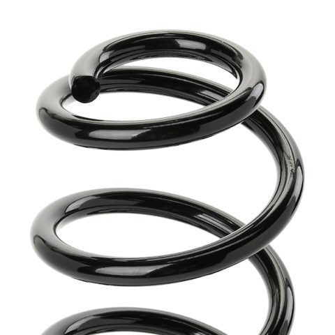 Ridex 188C1550 Coil Spring, photo 3