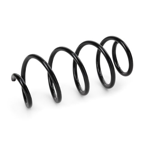 Ridex 188C1563 Coil Spring, photo 2