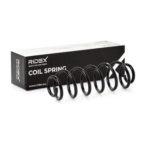 Ridex 188C1569 Coil Spring