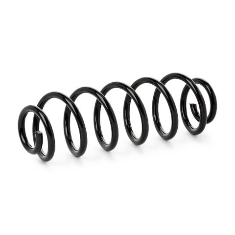 Ridex 188C1569 Coil Spring, photo 2