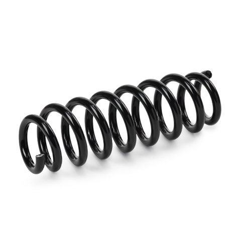 Ridex 188C1579 Coil Spring, photo 2