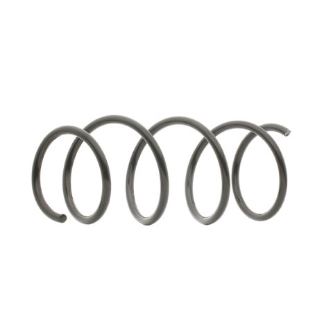 Ridex 188C1596 Coil Spring