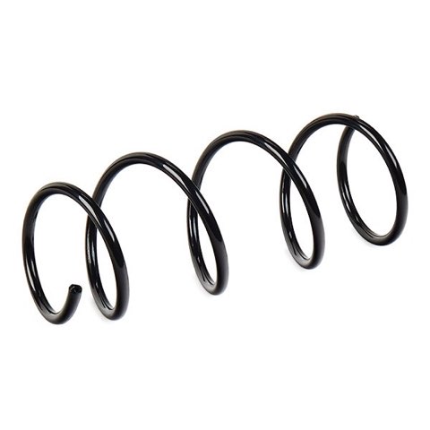 Ridex 188C1596 Coil Spring, photo 3