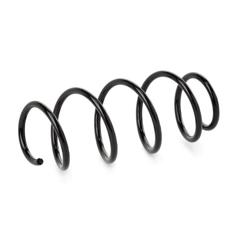 Ridex 188C1598 Coil Spring, photo 2