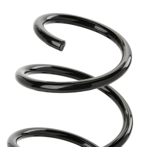 Ridex 188C1598 Coil Spring, photo 3