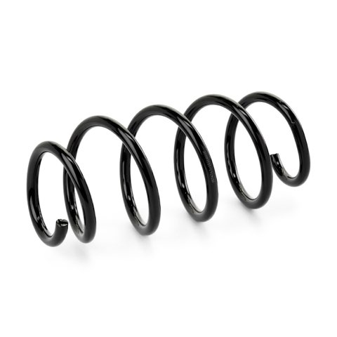 Ridex 188C1602 Coil Spring, photo 2