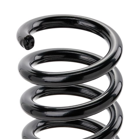 Ridex 188C1603 Coil Spring, photo 3