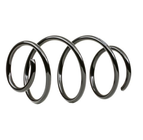 Ridex 188C1605 Coil Spring
