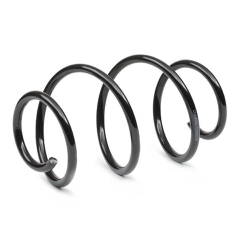 Ridex 188C1605 Coil Spring, photo 3