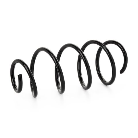 Ridex 188C1610 Coil Spring, photo 2