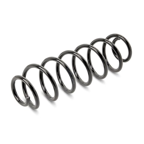 Ridex 188C1613 Coil Spring, photo 2