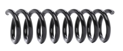 Ridex 188C1614 Coil Spring