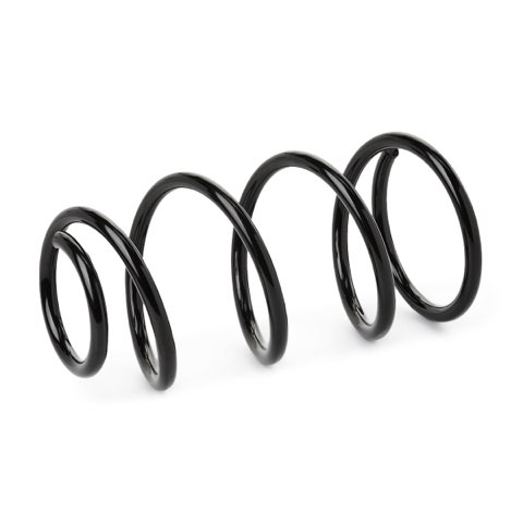 Ridex 188C1632 Coil Spring, photo 3