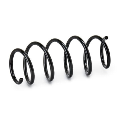 Ridex 188C1666 Coil Spring, photo 2
