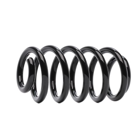 Ridex 188C1688 Coil Spring