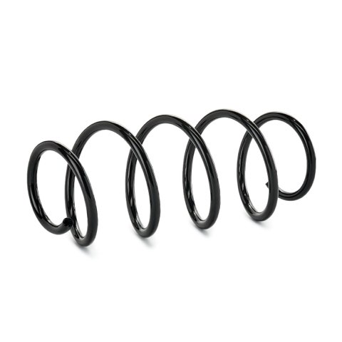 Ridex 188C1705 Coil Spring, photo 2