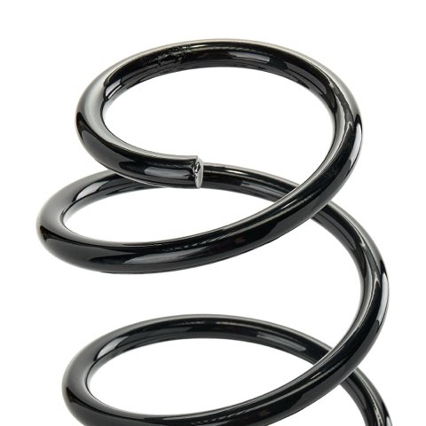 Ridex 188C1705 Coil Spring, photo 3