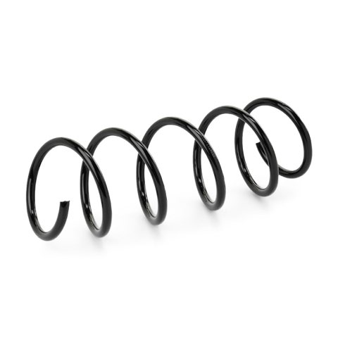 Ridex 188C1724 Coil Spring, photo 2
