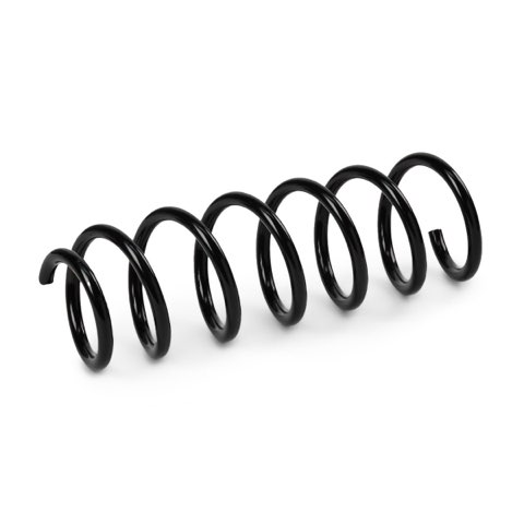 Ridex 188C1735 Coil Spring, photo 2