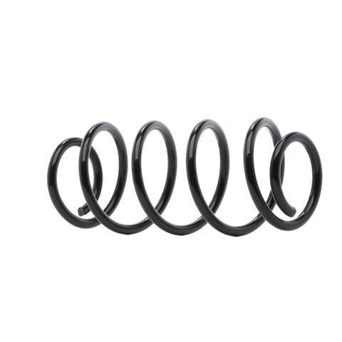 Ridex 188C1737 Coil Spring