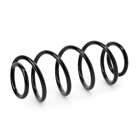 Ridex 188C1737 Coil Spring, photo 3