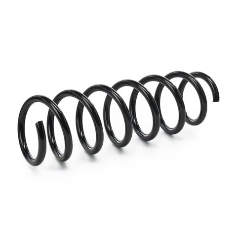 Ridex 188C1767 Coil Spring, photo 2