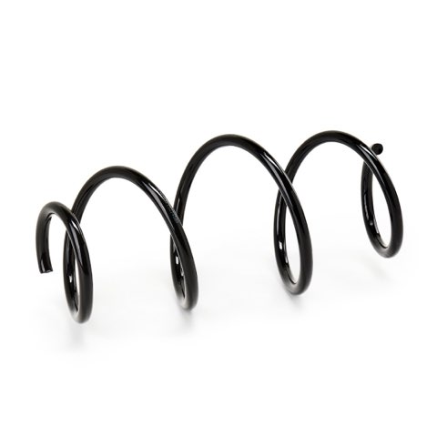 Ridex 188C1794 Coil Spring, photo 2