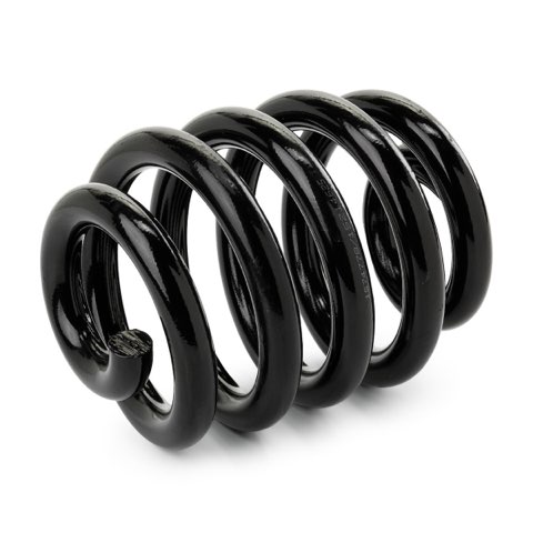 Ridex 188C1797 Coil Spring, photo 2